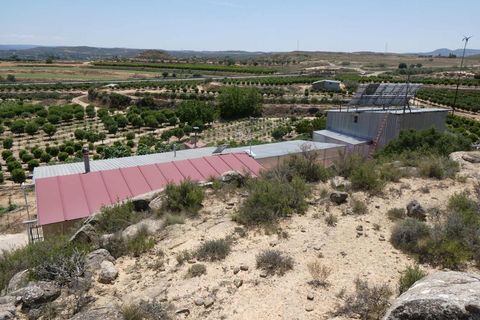Finca i Caspe, Zaragoza, Caspe - € 149.000 | Ref: 0896 - foto 7