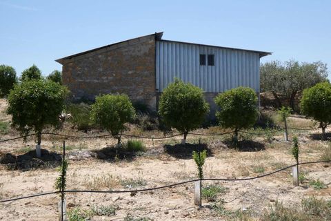 Finca i Caspe, Zaragoza, Caspe - € 149.000 | Ref: 0896 - foto 43