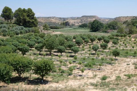 Finca i Caspe, Zaragoza, Caspe - € 149.000 | Ref: 0896 - foto 40