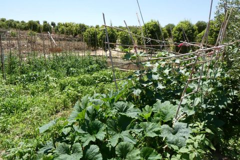 Finca i Caspe, Zaragoza, Caspe - € 149.000 | Ref: 0896 - foto 37