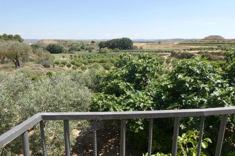 Finca i Caspe, Zaragoza, Caspe - € 149.000 | Ref: 0896 - foto 22