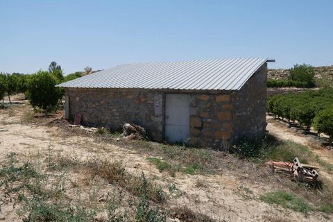 Finca i Caspe, Zaragoza, Caspe - € 149.000 | Ref: 0896 - foto 44