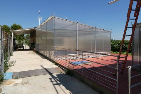 Finca i Caspe, Zaragoza, Caspe - € 149.000 | Ref: 0896 - foto 30