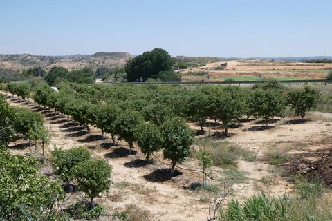 Finca i Caspe, Zaragoza, Caspe - € 149.000 | Ref: 0896 - foto 48