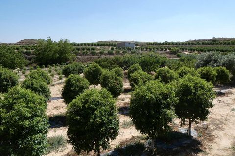 Finca i Caspe, Zaragoza, Caspe - € 149.000 | Ref: 0896 - foto 33