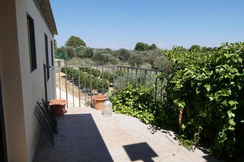 Finca i Caspe, Zaragoza, Caspe - € 149.000 | Ref: 0896 - foto 21