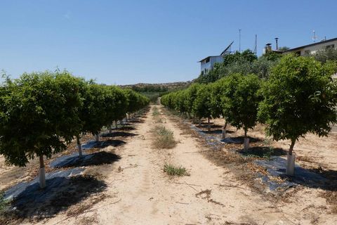 Finca i Caspe, Zaragoza, Caspe - € 149.000 | Ref: 0896 - foto 35