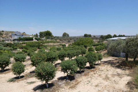 Finca i Caspe, Zaragoza, Caspe - € 149.000 | Ref: 0896 - foto 47