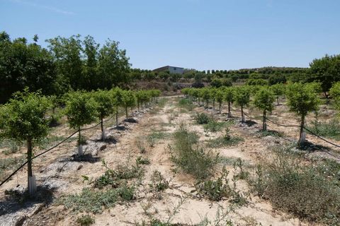 Finca i Caspe, Zaragoza, Caspe - € 149.000 | Ref: 0896 - foto 41