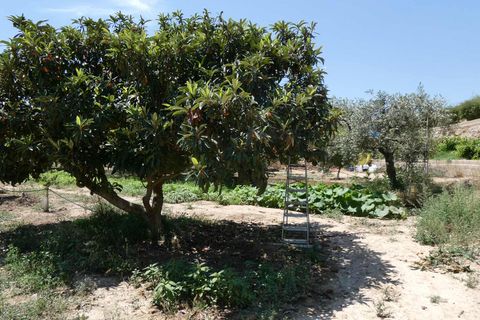 Finca i Caspe, Zaragoza, Caspe - € 149.000 | Ref: 0896 - foto 36