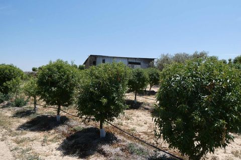 Finca i Caspe, Zaragoza, Caspe - € 149.000 | Ref: 0896 - foto 42