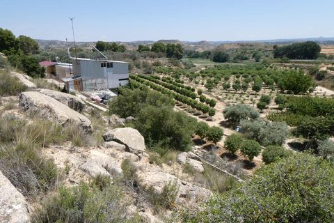 Finca i Caspe, Zaragoza, Caspe - € 149.000 | Ref: 0896 - foto 6