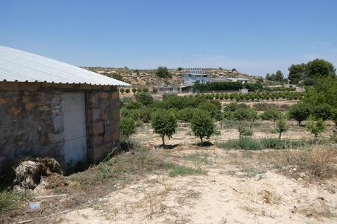 Finca i Caspe, Zaragoza, Caspe - € 149.000 | Ref: 0896 - foto 45