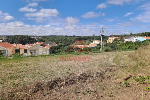 Helårsgrund i A dos Cunhados e Maceira, Lisbon, A dos Cunhados e Maceira - € 425.000 | Ref: M3195 TVD - foto 3