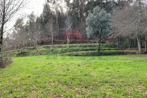 Landejendom i Arcos de Valdevez, Viana do Castelo, Arcos de Valdevez - € 290.000 | Ref: AVV-1942-RB-1121 - foto 12