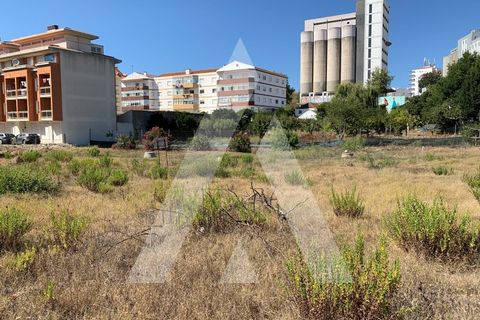 Helårsgrund i Santo Onofre e Serra do Bouro, Leiria, Santo Onofre e Serra do Bouro - € 430.000 | Ref: 1130802/23 LR - foto 4