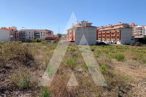 Helårsgrund i Santo Onofre e Serra do Bouro, Leiria, Santo Onofre e Serra do Bouro - € 430.000 | Ref: 1130802/23 LR - foto 5