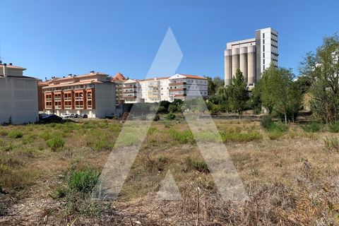 Helårsgrund i Santo Onofre e Serra do Bouro, Leiria, Santo Onofre e Serra do Bouro - € 430.000 | Ref: 1130802/23 LR - foto 6