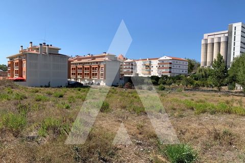 Helårsgrund i Santo Onofre e Serra do Bouro, Leiria, Santo Onofre e Serra do Bouro - € 430.000 | Ref: 1130802/23 LR - foto 8