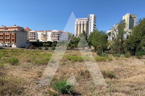 Helårsgrund i Santo Onofre e Serra do Bouro, Leiria, Santo Onofre e Serra do Bouro - € 430.000 | Ref: 1130802/23 LR - foto 9