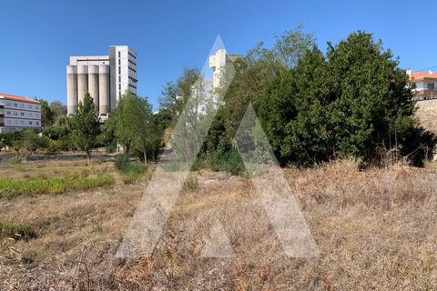 Helårsgrund i Santo Onofre e Serra do Bouro, Leiria, Santo Onofre e Serra do Bouro - € 430.000 | Ref: 1130802/23 LR - foto 10