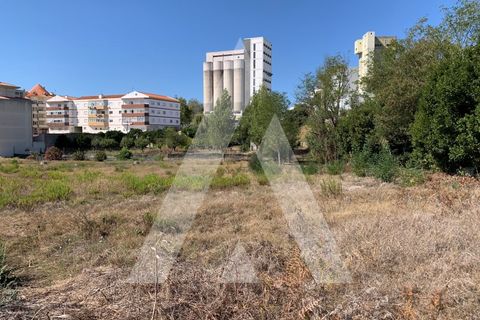 Helårsgrund i Santo Onofre e Serra do Bouro, Leiria, Santo Onofre e Serra do Bouro - € 430.000 | Ref: 1130802/23 LR - foto 11