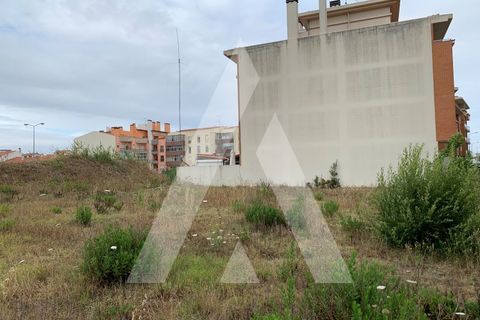 Helårsgrund i Santo Onofre e Serra do Bouro, Leiria, Santo Onofre e Serra do Bouro - € 430.000 | Ref: 1130802/23 LR - foto 14
