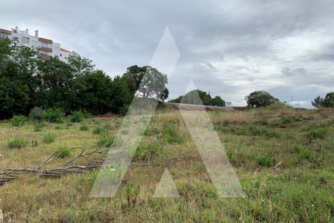 Helårsgrund i Santo Onofre e Serra do Bouro, Leiria, Santo Onofre e Serra do Bouro - € 430.000 | Ref: 1130802/23 LR - foto 19