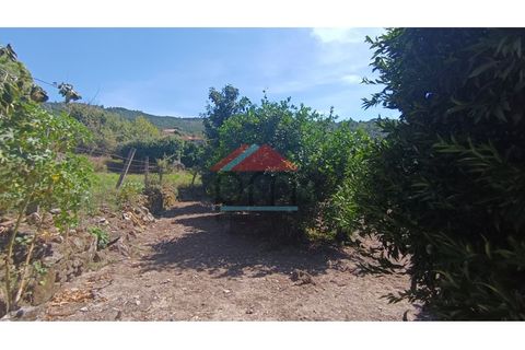 Villa i Gave, Viana do Castelo, Gave - € 50.000 | Ref: M434 - foto 17