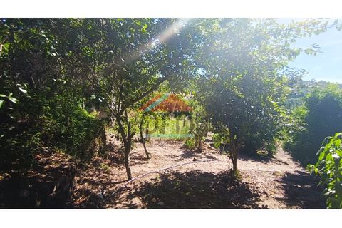 Villa i Gave, Viana do Castelo, Gave - € 50.000 | Ref: M434 - foto 18