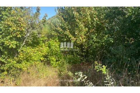 Tomt i Amarante, Porto, Amarante - € 18 500 | Ref: MC09573 - foto 5