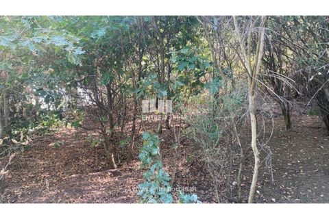 Tomt i Amarante, Porto, Amarante - € 18 500 | Ref: MC09573 - foto 7