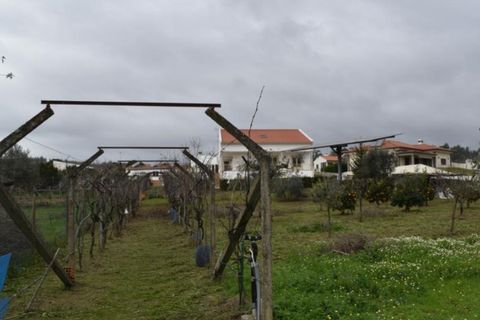 Farm i Abrantes, Santarem, Abrantes - € 620.000 | Ref: MAS_24 - foto 8