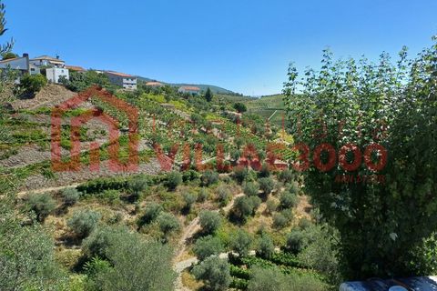 Ruïna a Sabrosa, Vila Real, Sabrosa - € 19.900 | Ref: RUÏ_258 - foto 2