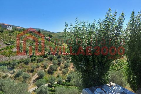 Ruïna a Sabrosa, Vila Real, Sabrosa - € 19.900 | Ref: RUÏ_258 - foto 3