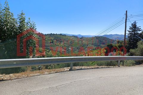 Ruïna a Sabrosa, Vila Real, Sabrosa - € 19.900 | Ref: RUÏ_258 - foto 4