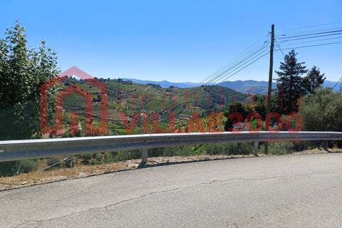 Ruïna a Sabrosa, Vila Real, Sabrosa - € 19.900 | Ref: RUÏ_258 - foto 5
