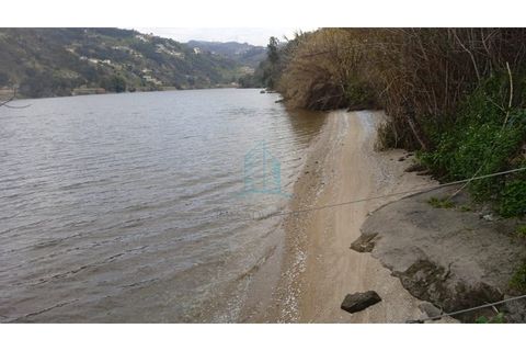 Farm i Resende, Viseu, Resende - € 800.000 | Ref: IMO_679 - foto 3