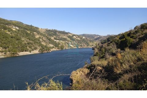 Farm i Resende, Viseu, Resende - € 800.000 | Ref: IMO_679 - foto 1