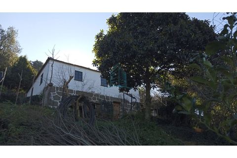 Farm i Resende, Viseu, Resende - € 800.000 | Ref: IMO_679 - foto 6