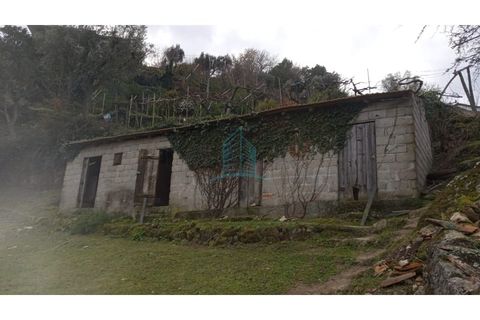 Farm i Resende, Viseu, Resende - € 800.000 | Ref: IMO_679 - foto 7
