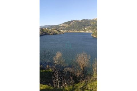 Farm i Resende, Viseu, Resende - € 800.000 | Ref: IMO_679 - foto 8
