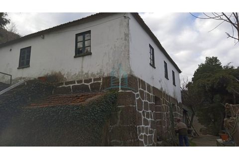 Farm i Resende, Viseu, Resende - € 800.000 | Ref: IMO_679 - foto 10