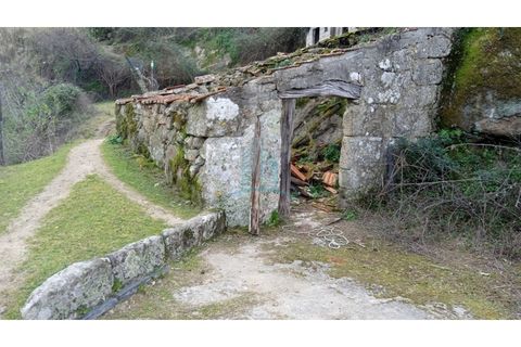 Farm i Resende, Viseu, Resende - € 800.000 | Ref: IMO_679 - foto 11