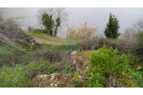 Farm i Resende, Viseu, Resende - € 800.000 | Ref: IMO_679 - foto 13