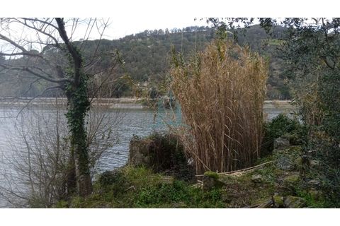 Farm i Resende, Viseu, Resende - € 800.000 | Ref: IMO_679 - foto 15
