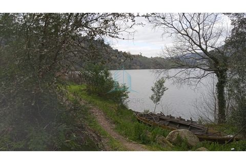 Farm i Resende, Viseu, Resende - € 800.000 | Ref: IMO_679 - foto 16