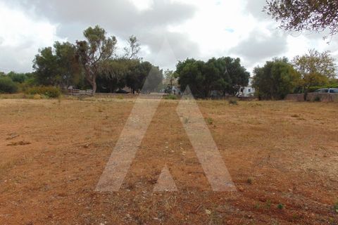 Helårsgrund i Almancil, Faro, Almancil - € 3.500.000 | Ref: 1230664/VL23 - foto 7