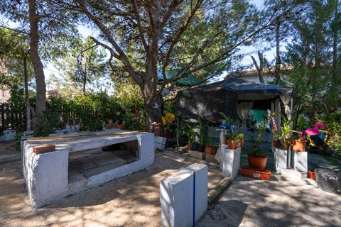 Landejendom i Yecla, Murcia, Yecla - € 99.000 | Ref: CF2852 - foto 50