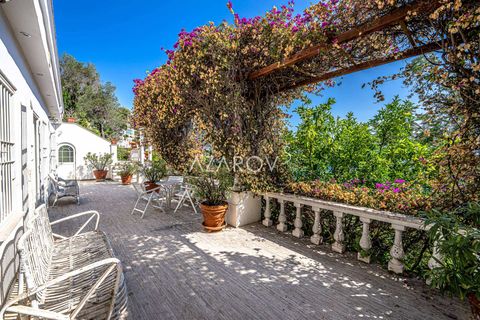 Villa a Ventimiglia, Imperia, Ventimiglia - € 3.900.000 | Ref: 5554 - foto 15